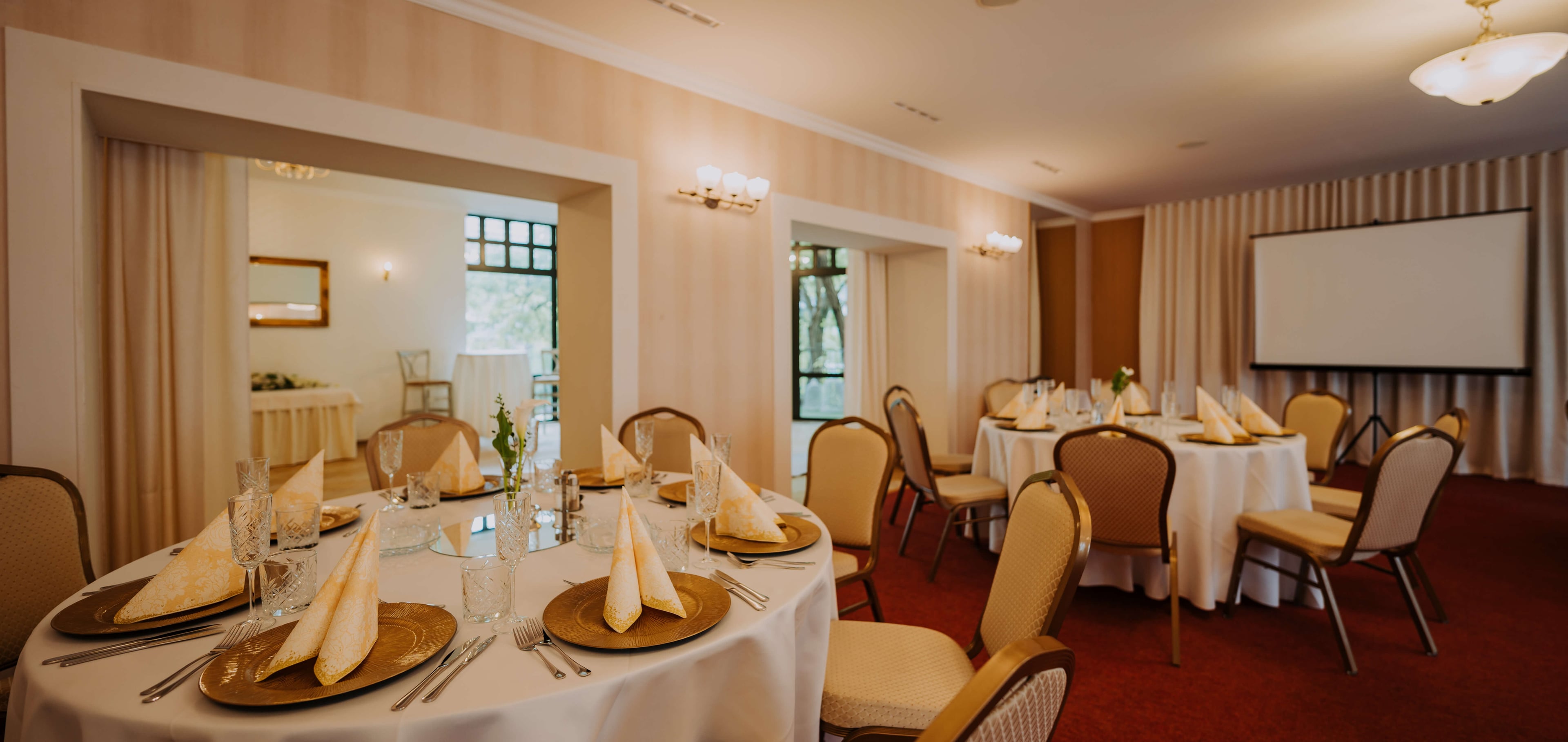 saloon serenada photo 3