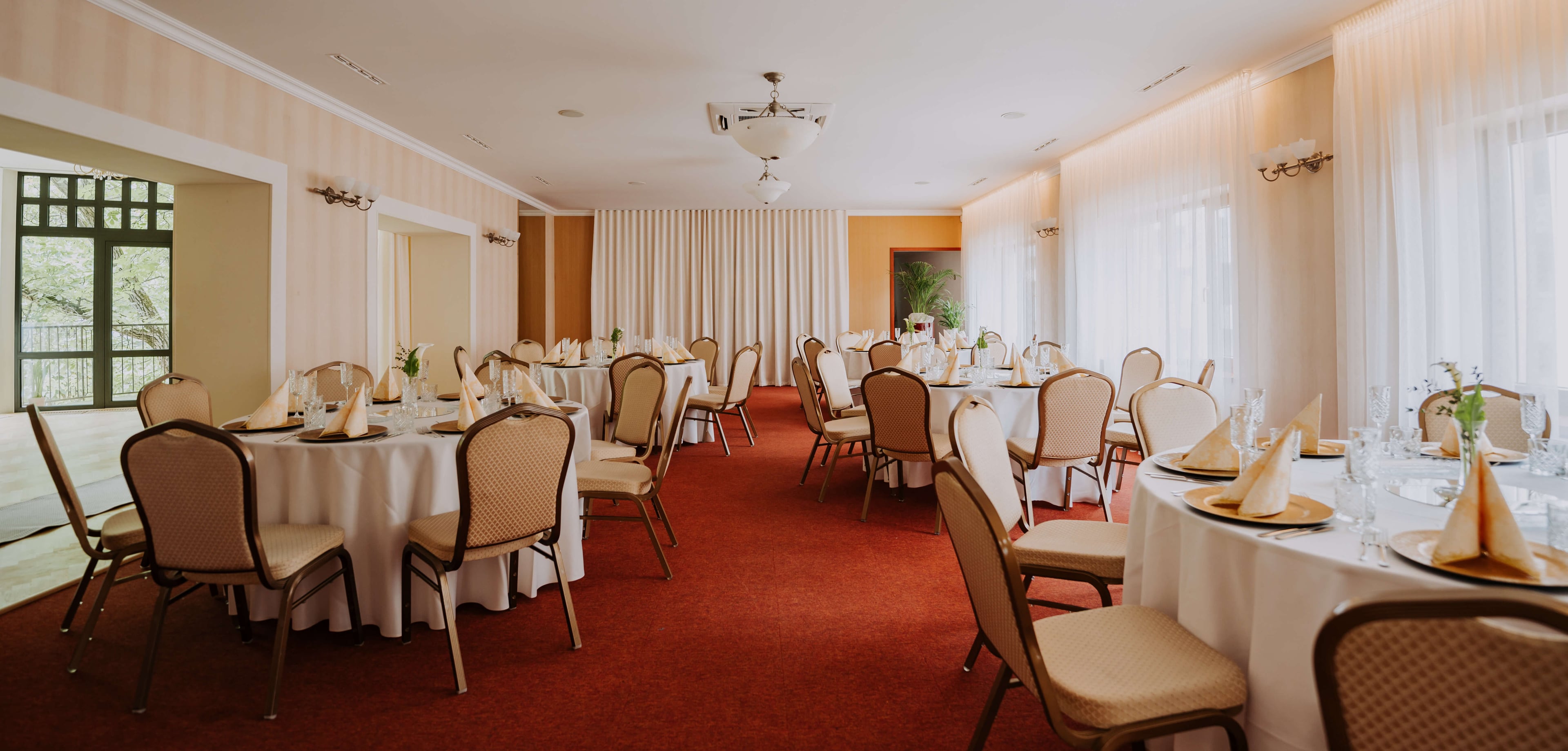 saloon serenada photo 4