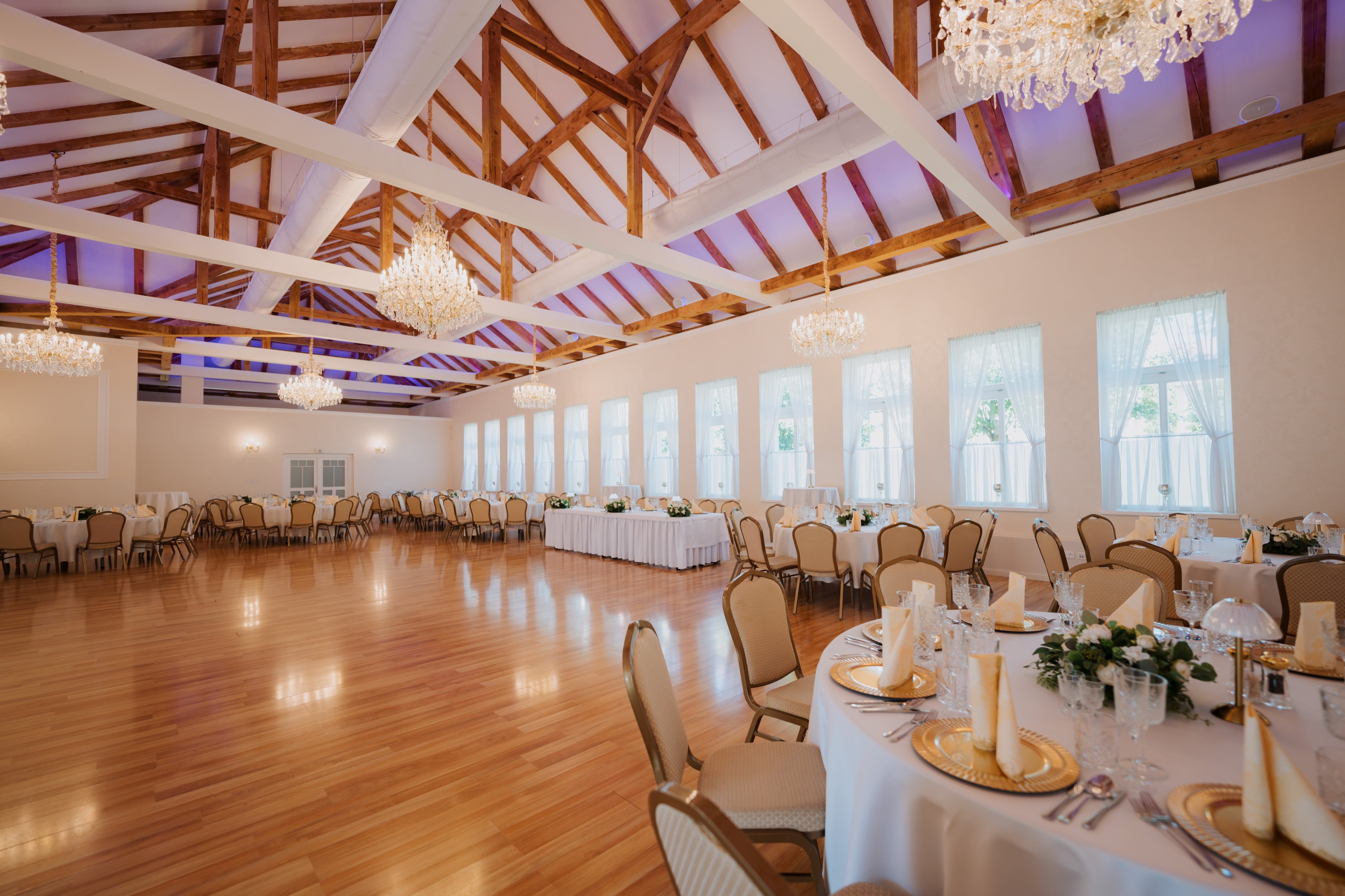 Venue bacikova hero banner